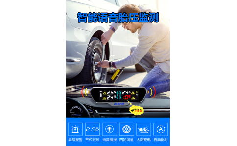 真人语音胎压监测